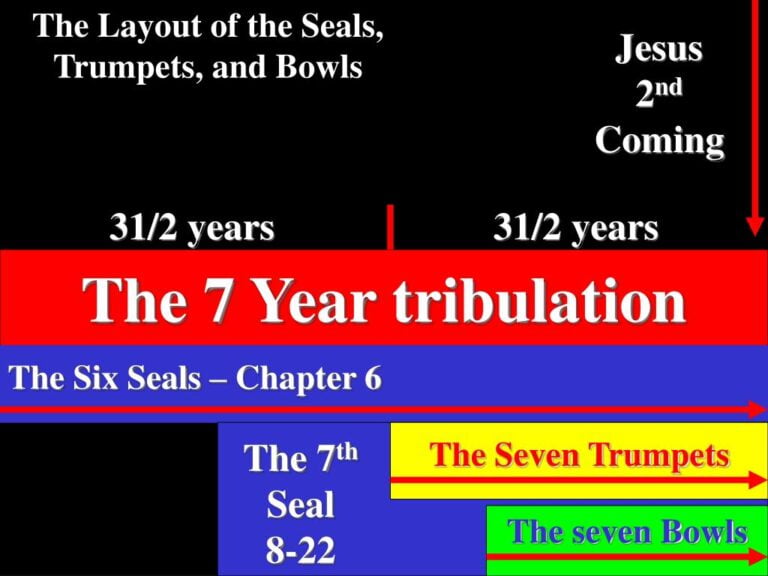 A Realistic Portrayal of The 7-Year Tribulation - Covid Truths